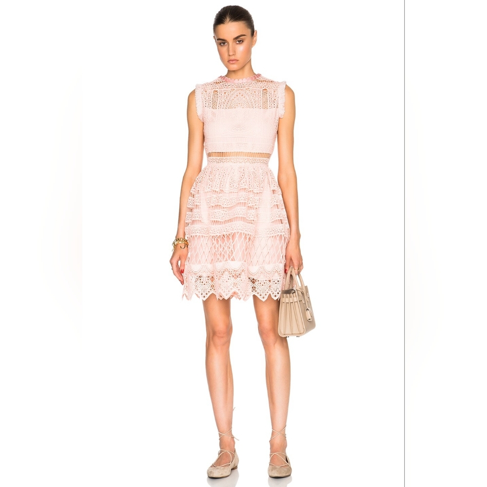 ALEXIS Sage A Line Blossom Blush Pink Dress Embroidered Size M